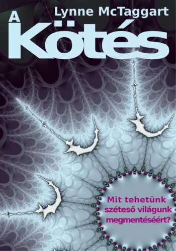 Lynne Mctaggart: A kötés