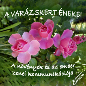 Enrico: A varázskert énekei